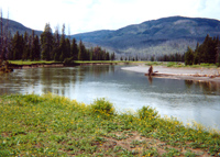 The Yellowstone River in the Thoroughfare area.